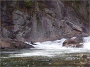 Wilsons Creek 196